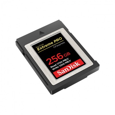 Sandisk SDCFE-256G-GN4NN Photo#3