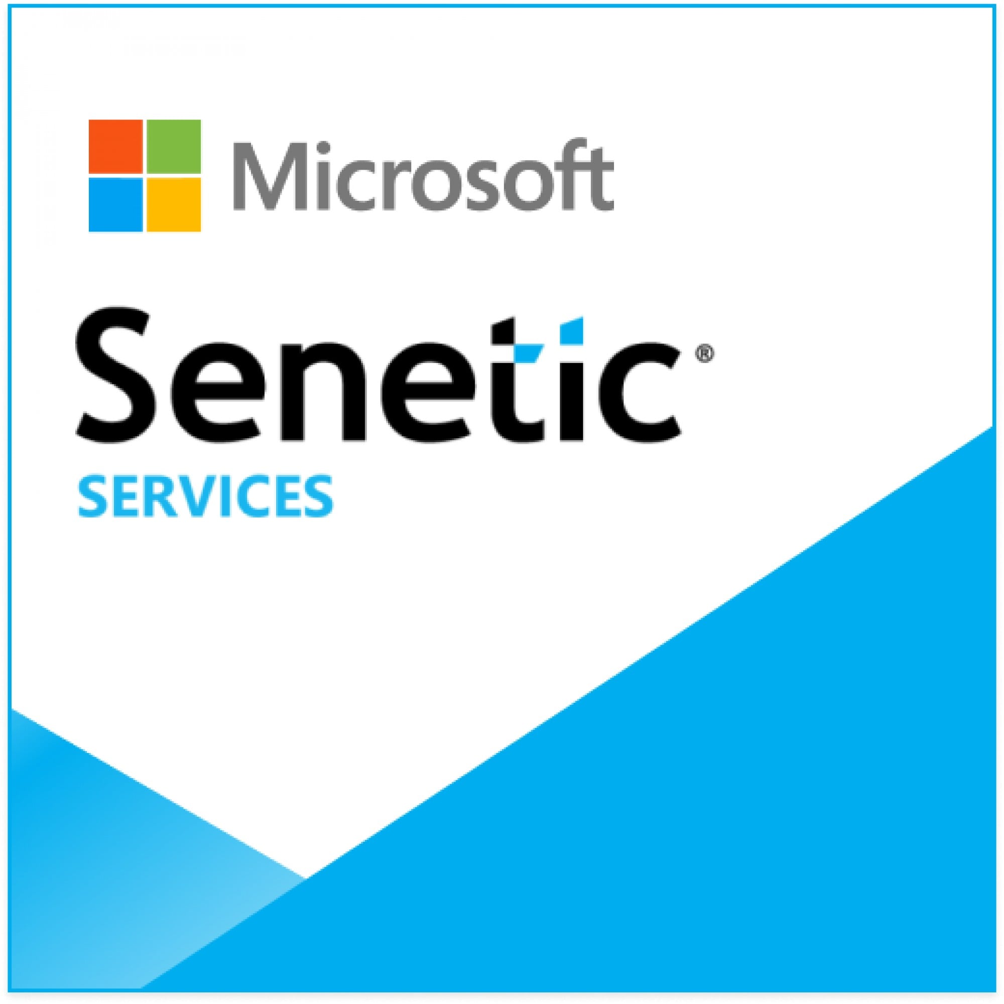 Microsoft MS-Services-9