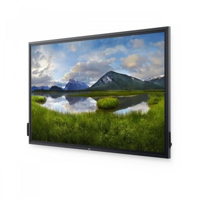 Dell DELL-P8624QT Photo#2