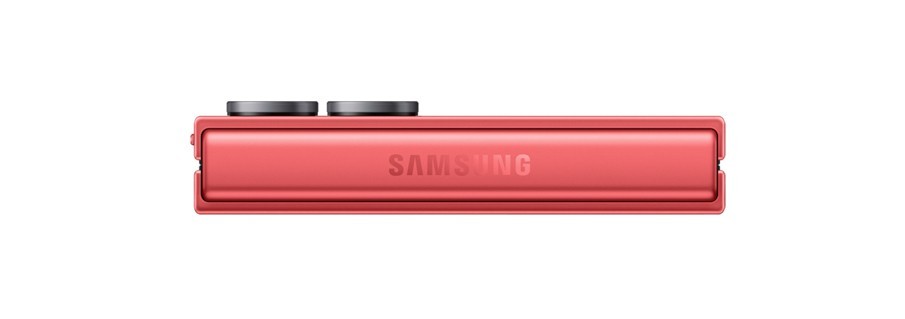 Samsung SM-F766BZRGEUB