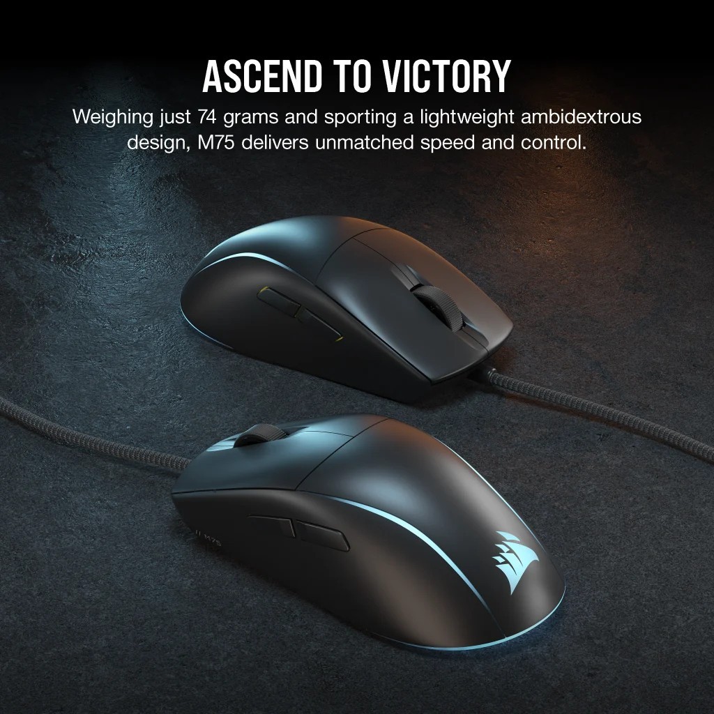 Corsair CH-930D010-EU