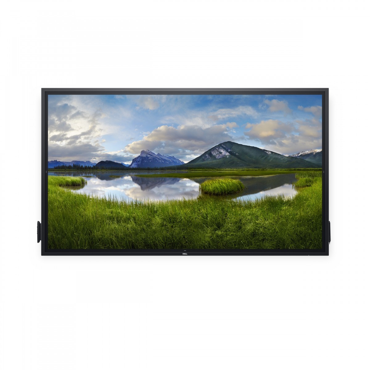 Dell DELL-P8624QT