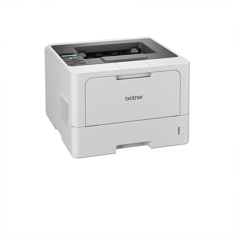 Brother HLL5210DWRE1