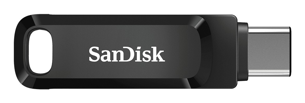 Sandisk SDDDC3-256G-G46
