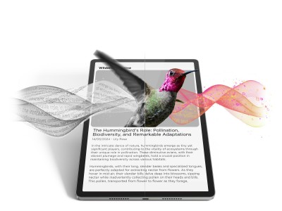 Lenovo ZAE50132SE Photo#10