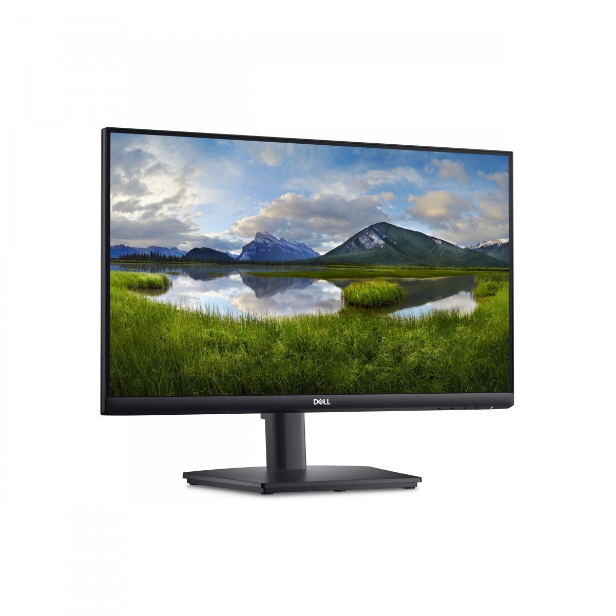 Dell DELL-E2424HS