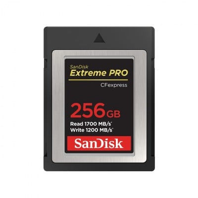 Sandisk SDCFE-256G-GN4NN Photo#1