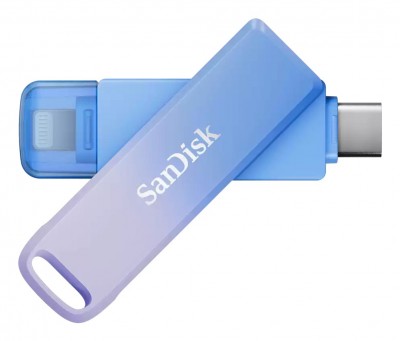 Sandisk SDIXD0N-256G-GN6TP Photo#1
