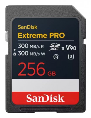 Sandisk SDSDXDM-256G-GN4IN Photo#1