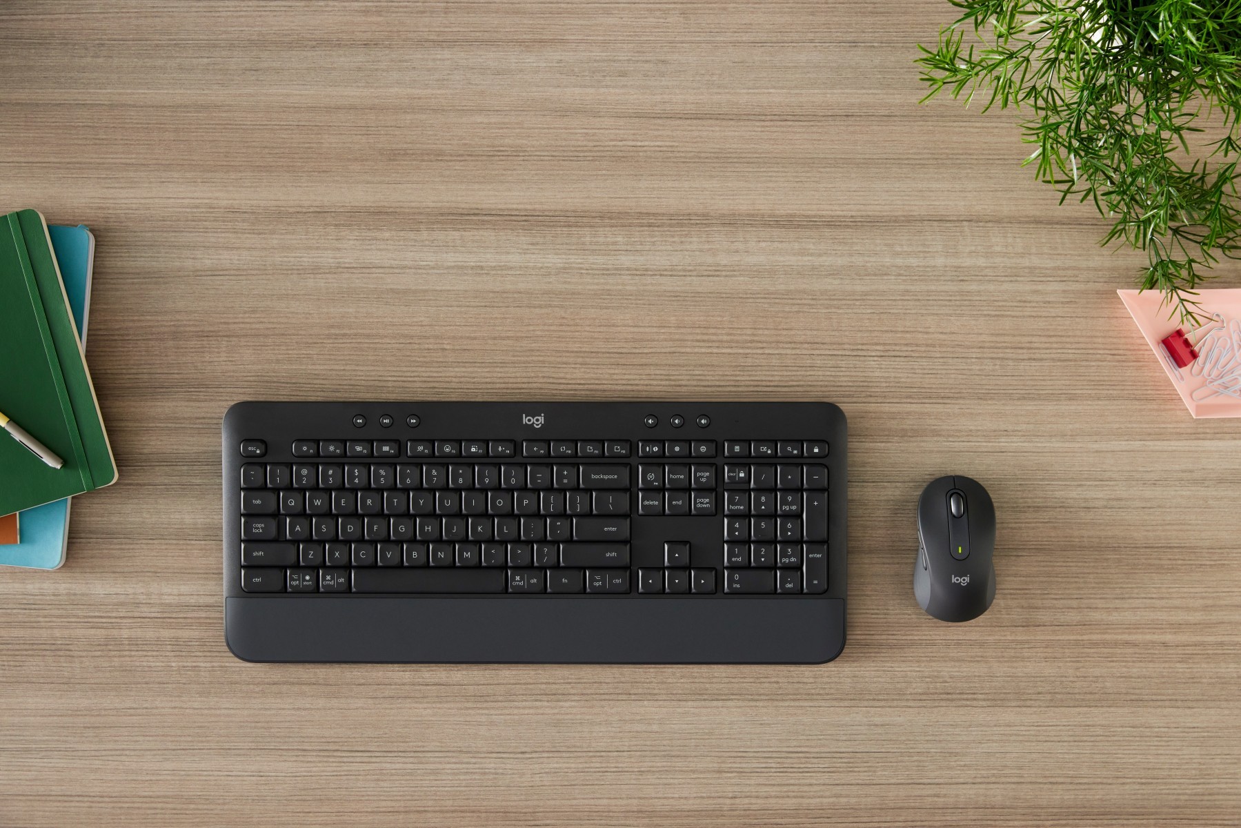 Logitech 920-010999