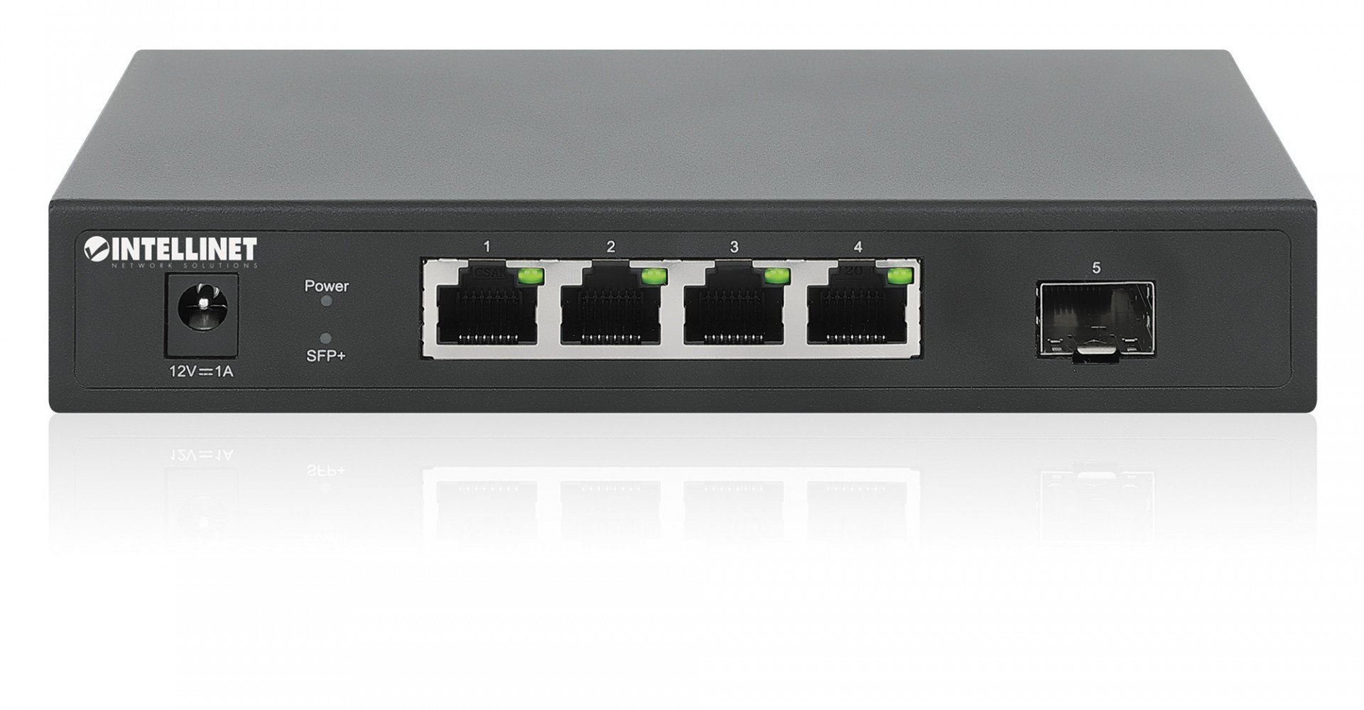 Intellinet 562058
