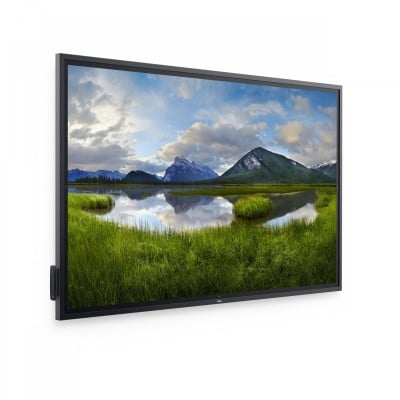 Dell DELL-P8624QT Photo#3