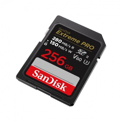 Sandisk SDSDXEP-256G-GN4IN Photo#2