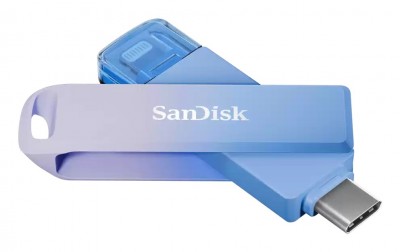 Sandisk SDIXD0N-256G-GN6TP Photo#3