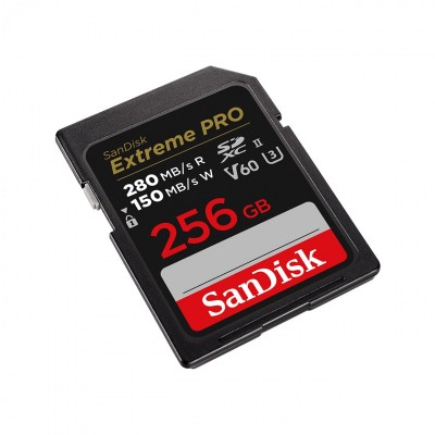 Sandisk SDSDXEP-256G-GN4IN Photo#3