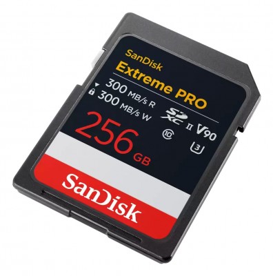 Sandisk SDSDXDM-256G-GN4IN Photo#2