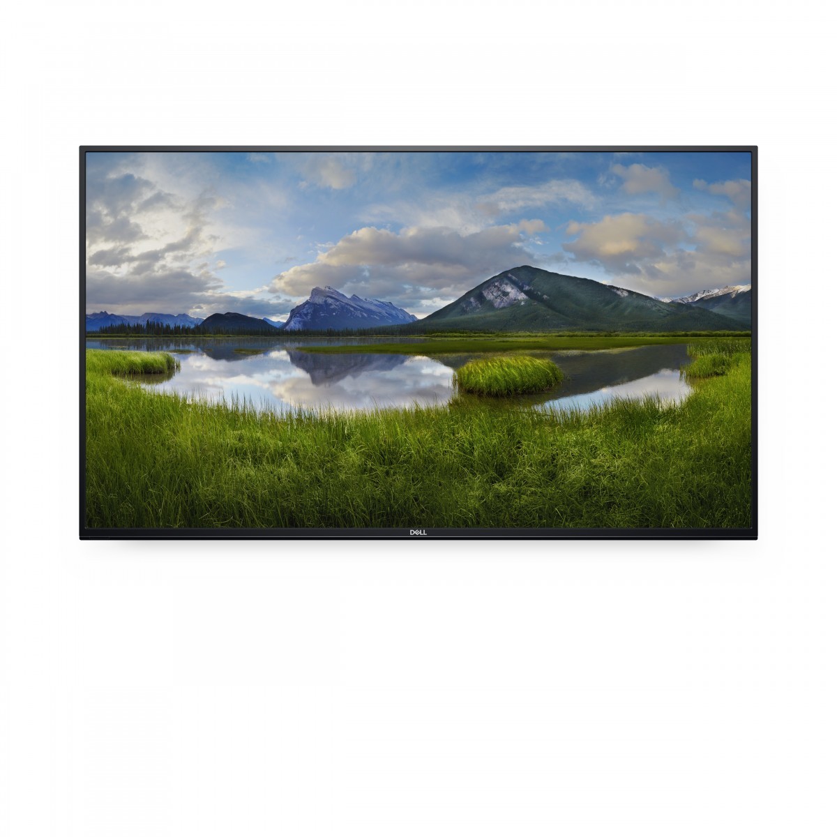 Dell DELL-P5524Q