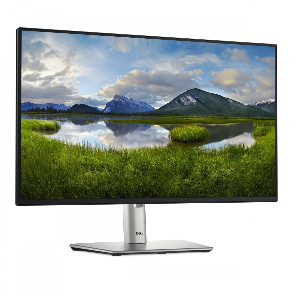 Dell DELL-P2425H_5Y