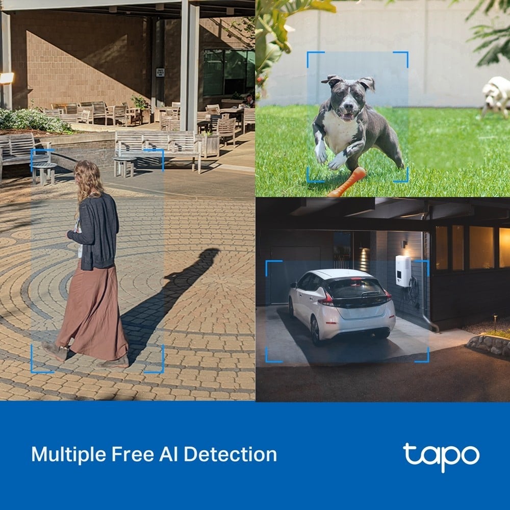 TP-LINK Tapo C520WS