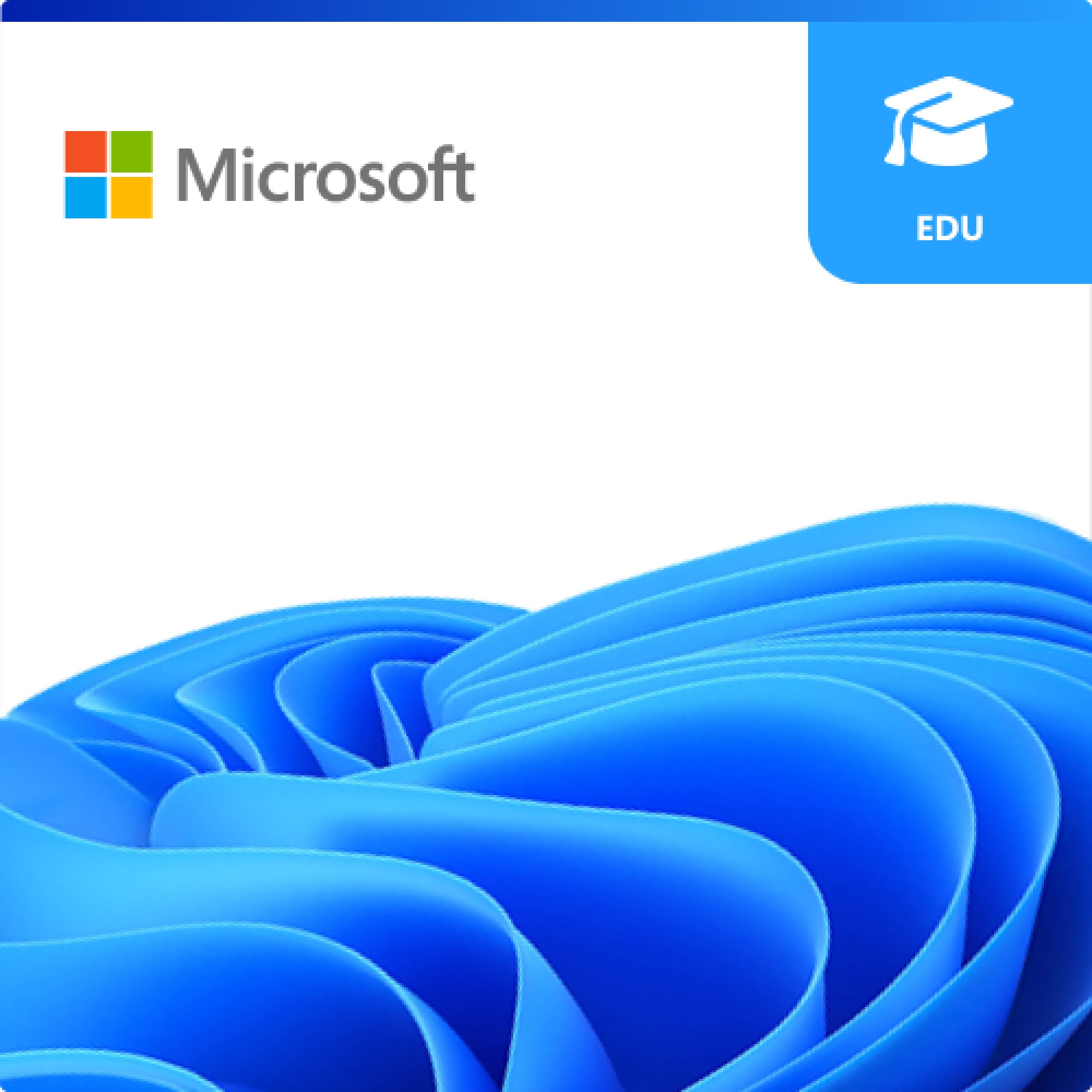 Microsoft CFQ7TTC0HVZW-001G-2_P1MP1M