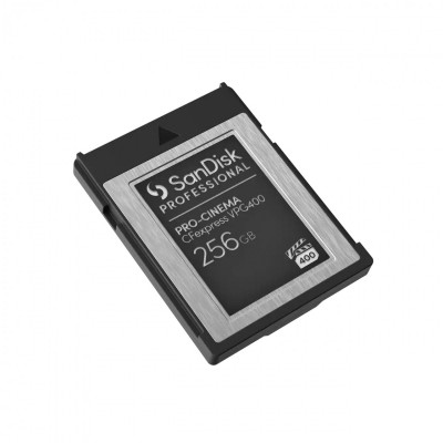 Sandisk SDPCVN4-256G-GNANN Photo#3
