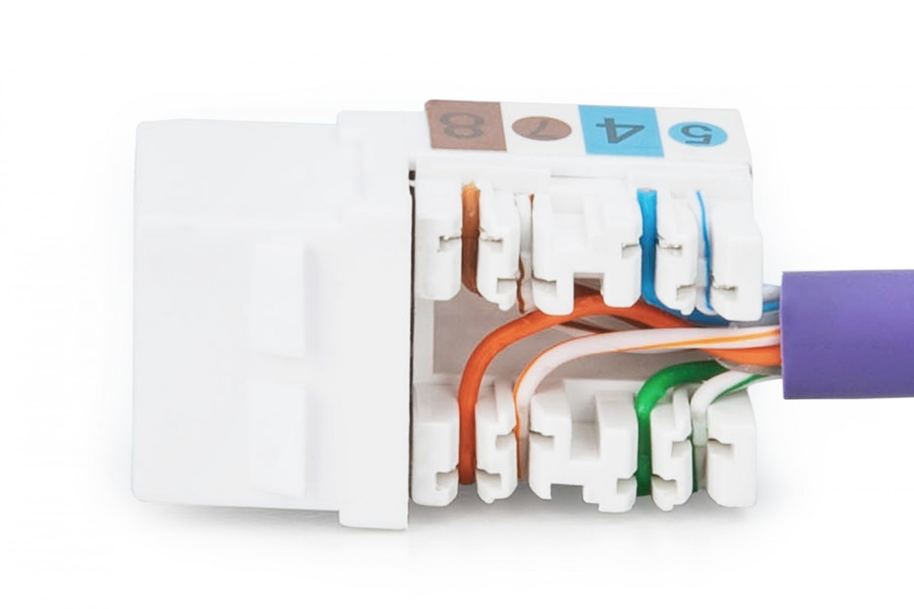 DIGITUS DN-93601