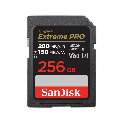 Sandisk SDSDXEP-256G-GN4IN Photo#1