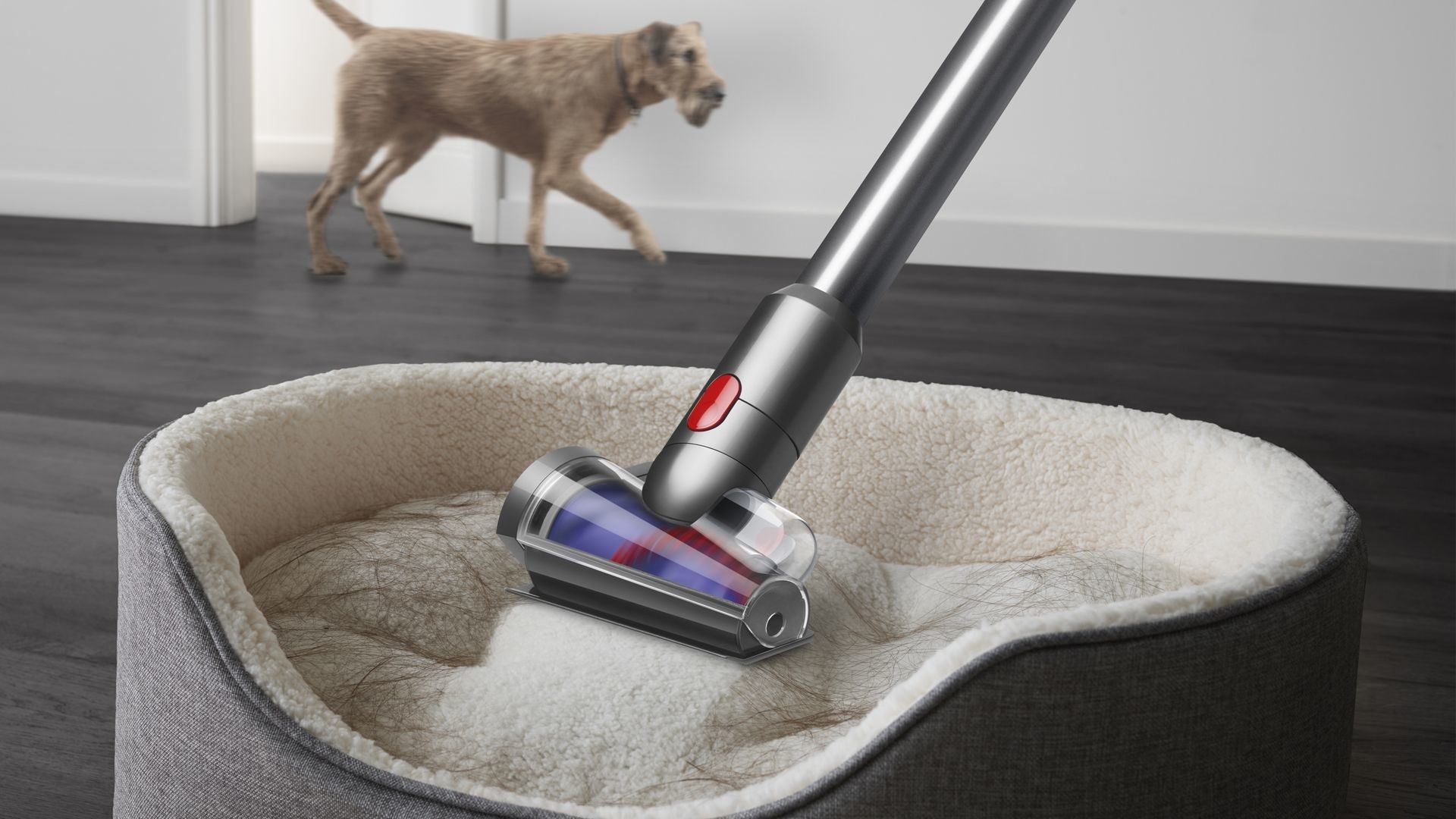 Dyson 448884-01