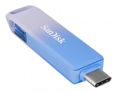 Sandisk SDIXD0N-256G-GN6TP Photo#2