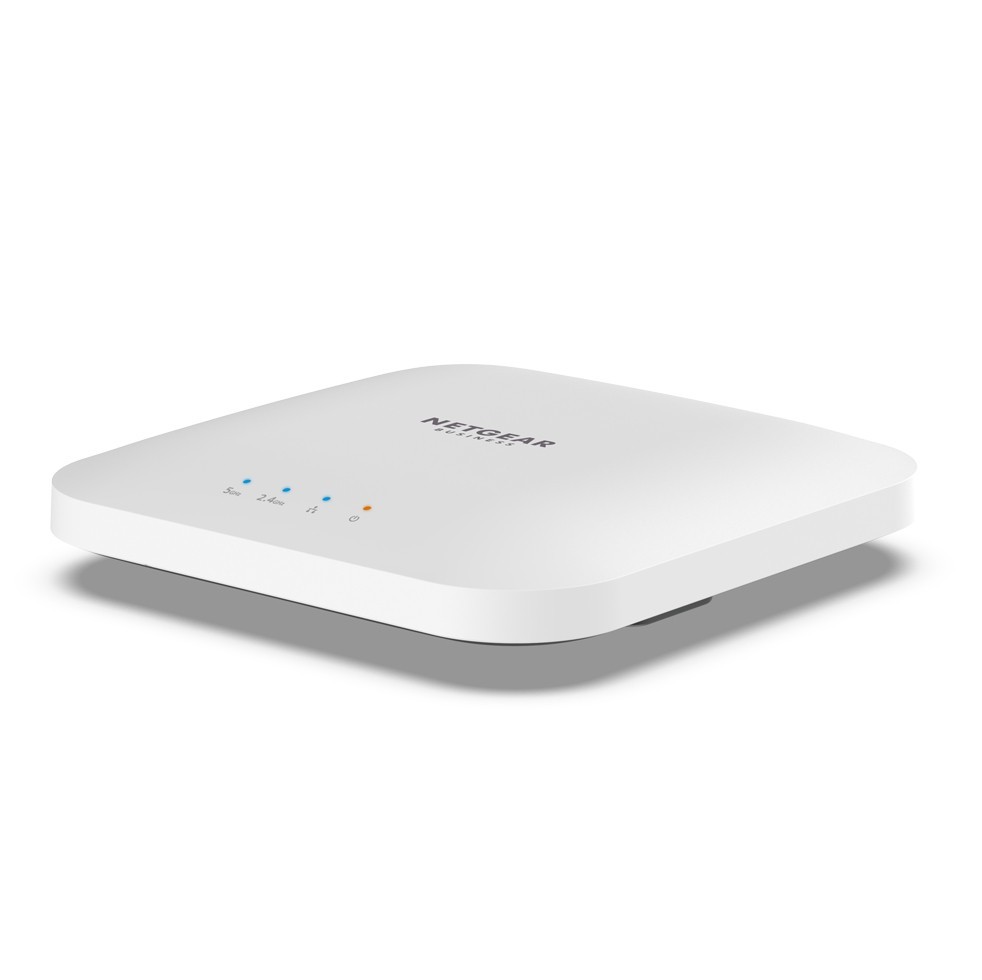 Netgear WAX214-100EUS