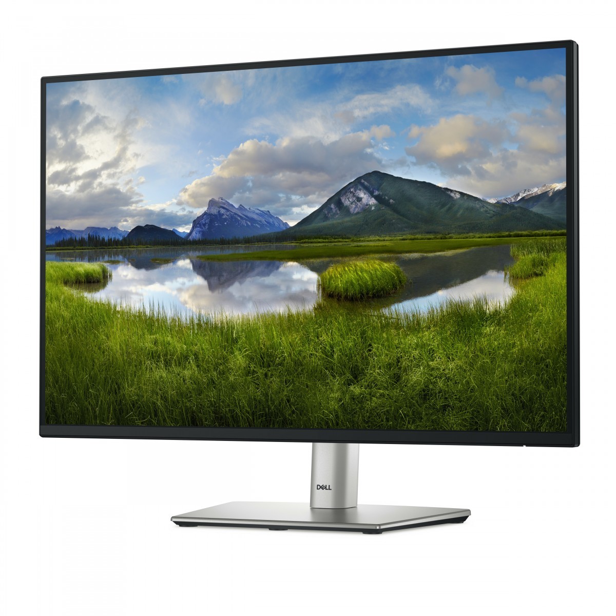 Dell DELL-P2425HF