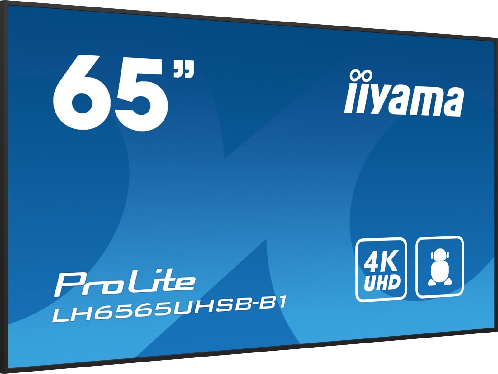iiyama LH6565UHSB-B1
