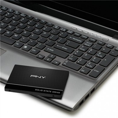 PNY SSD7CS900-250-RB Photo#9