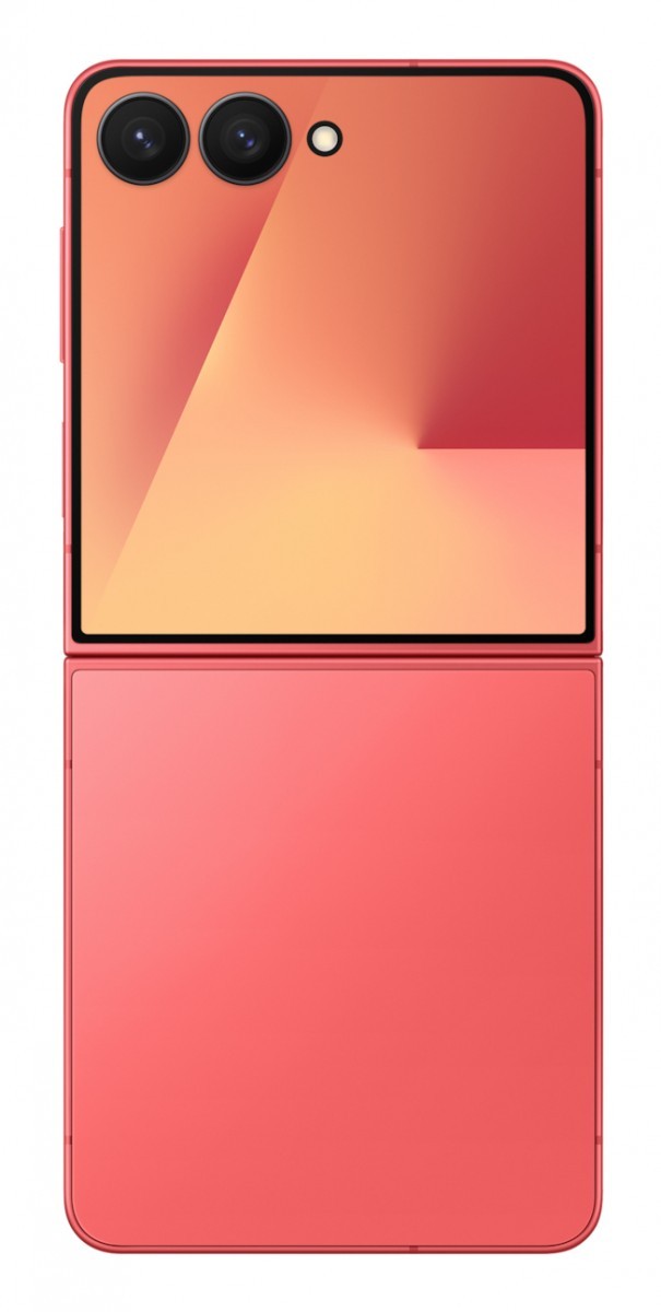 Samsung SM-F766BZRGEUB