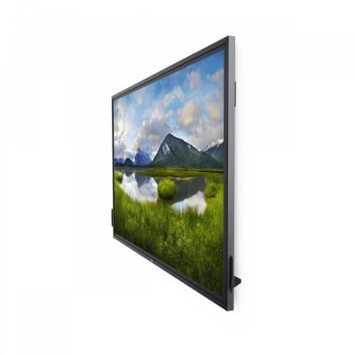 Dell DELL-P8624QT Photo#4