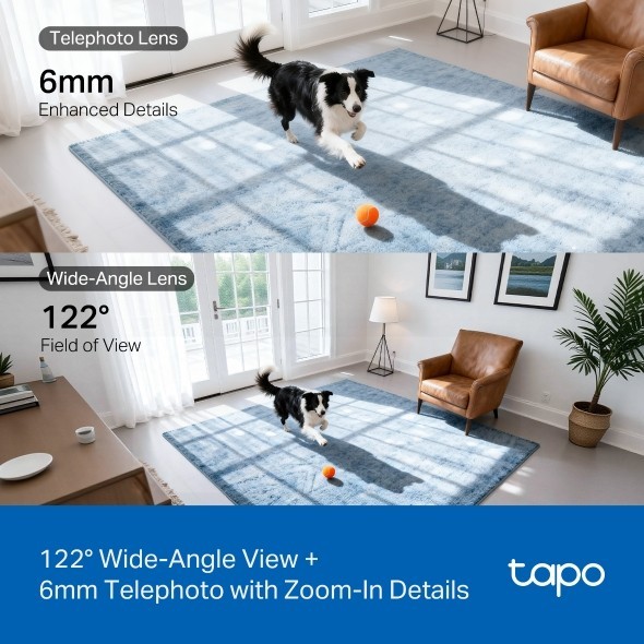TP-LINK Tapo C245D