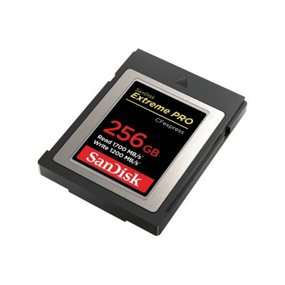 Sandisk SDCFE-256G-GN4NN Photo#2