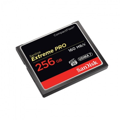 Sandisk SDCFXPS-256G-X46 Photo#1