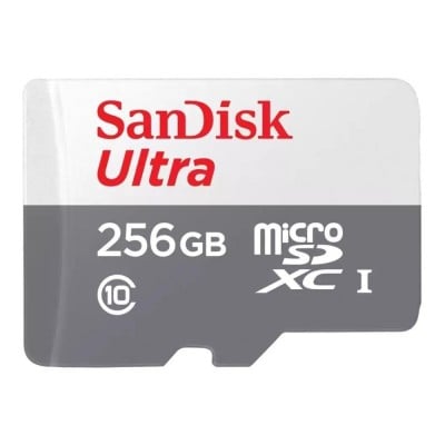 Sandisk SDSQUNR-256G-GN3MN Photo#1