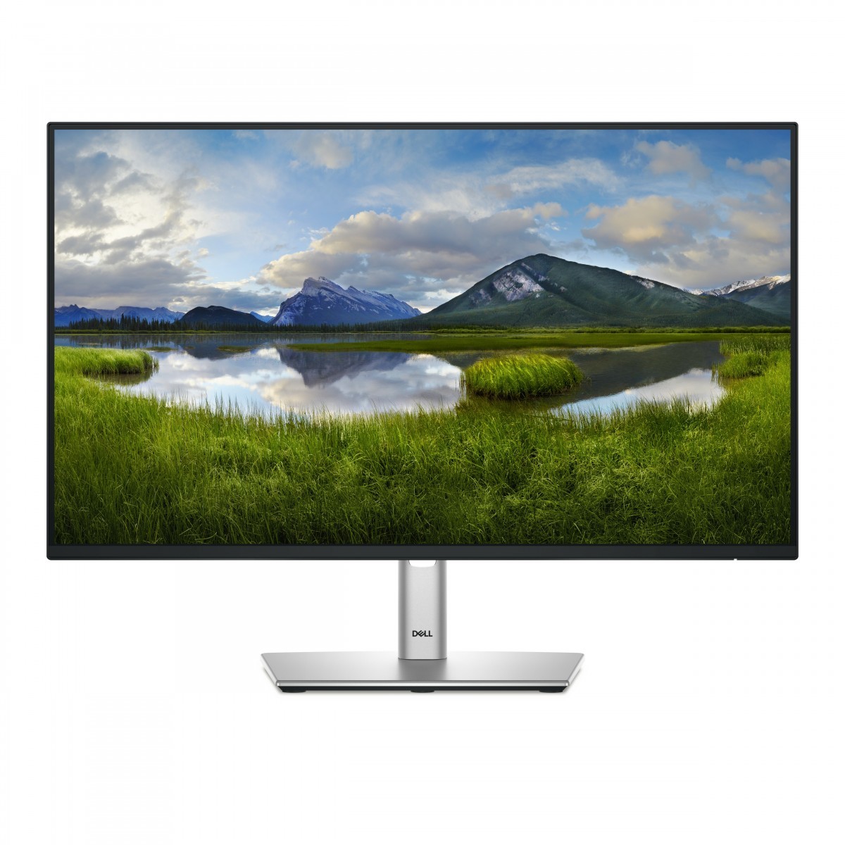 Dell DELL-P2425H_5Y