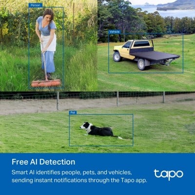 TP-LINK Tapo C501GW Photo#7