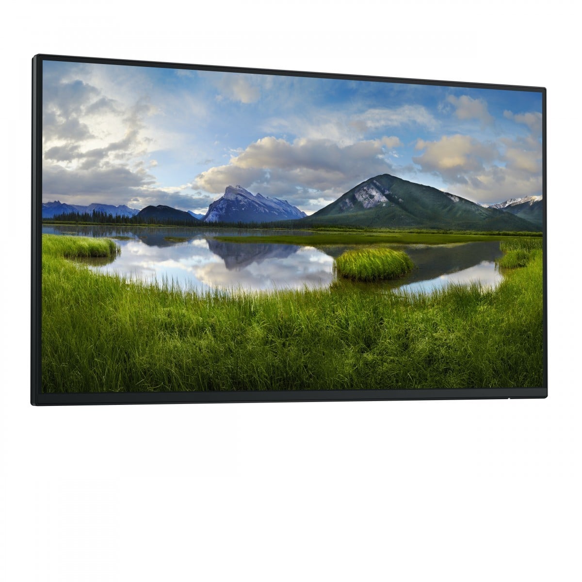 Dell DELL-P2425HWOS