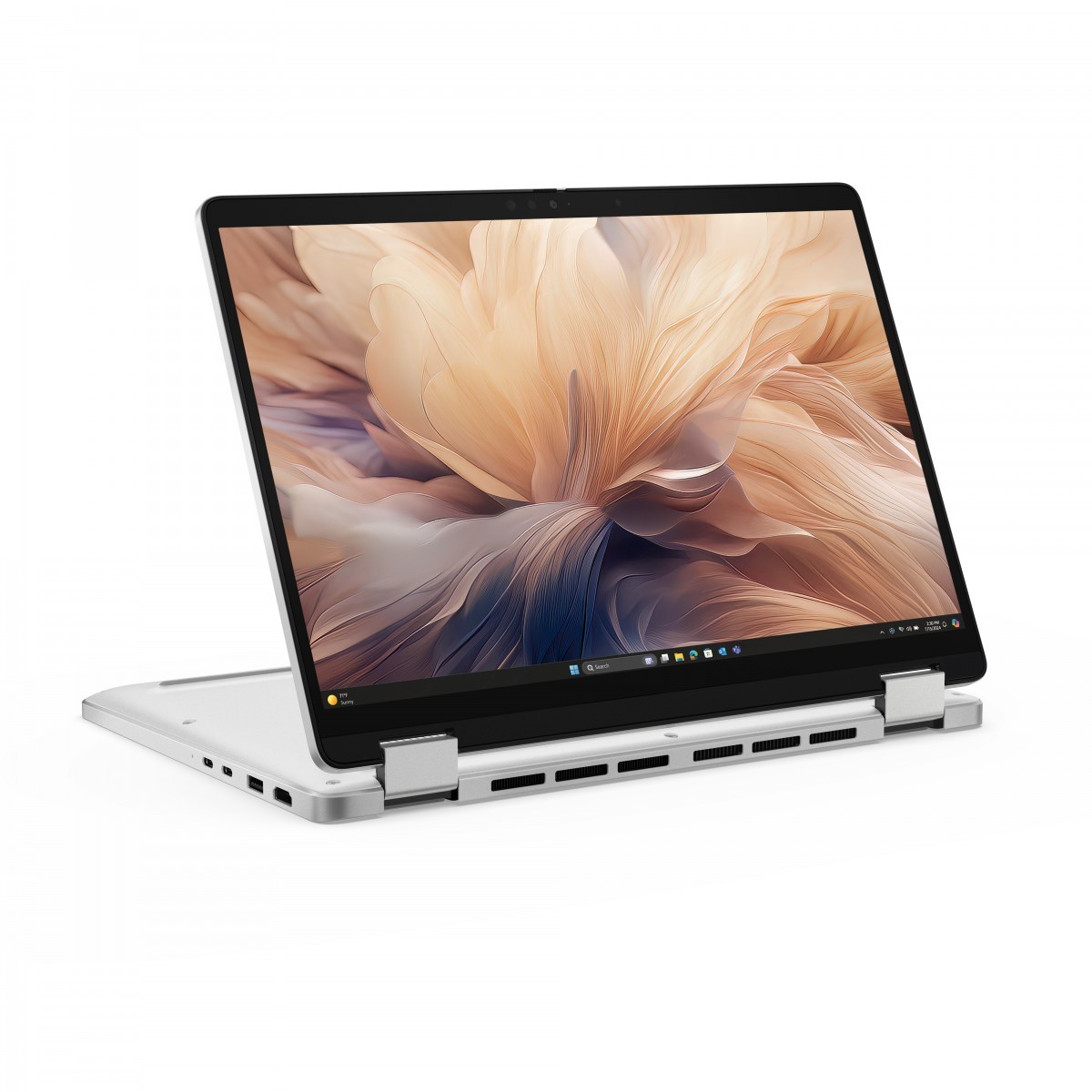 Dell BTO110_PB13250_2N1EMEA