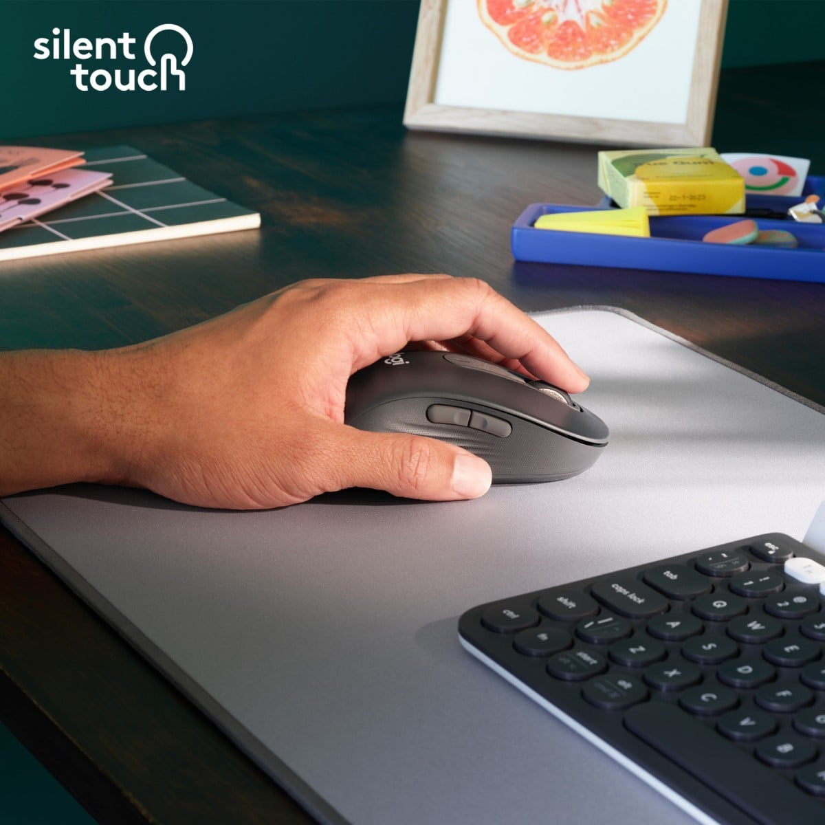 Logitech 910-006239