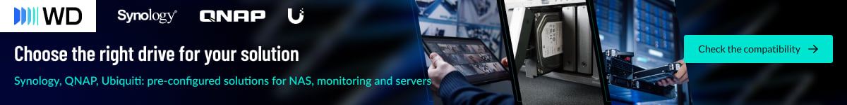 Western Digital Synergies