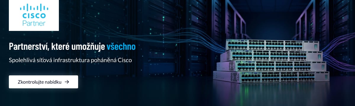 Cisco Partner