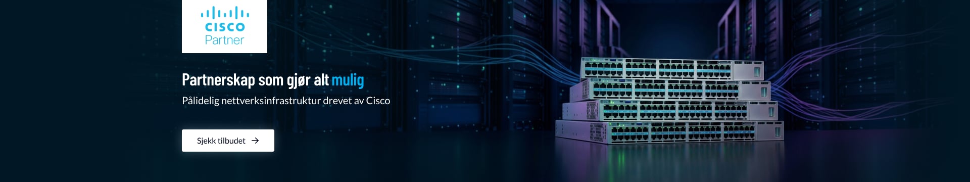 Cisco Partner